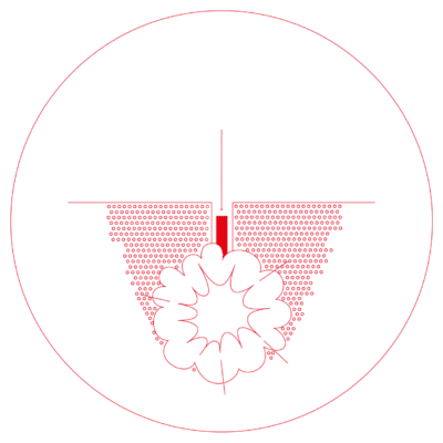 mikrovybuchy mmb